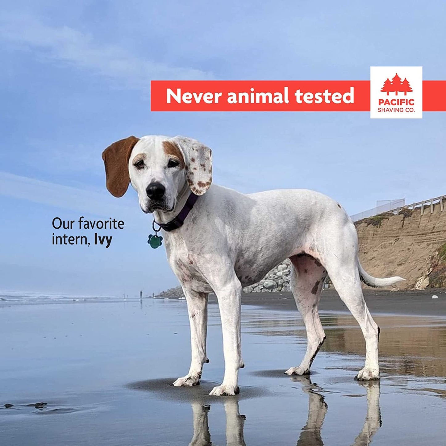 Pacific Shaving Company Red Shaving Cream - Foaming Colorful Shaving Cream - Hydrating, Redness Reducing + Irritation Free Shave Cream (7 Oz)