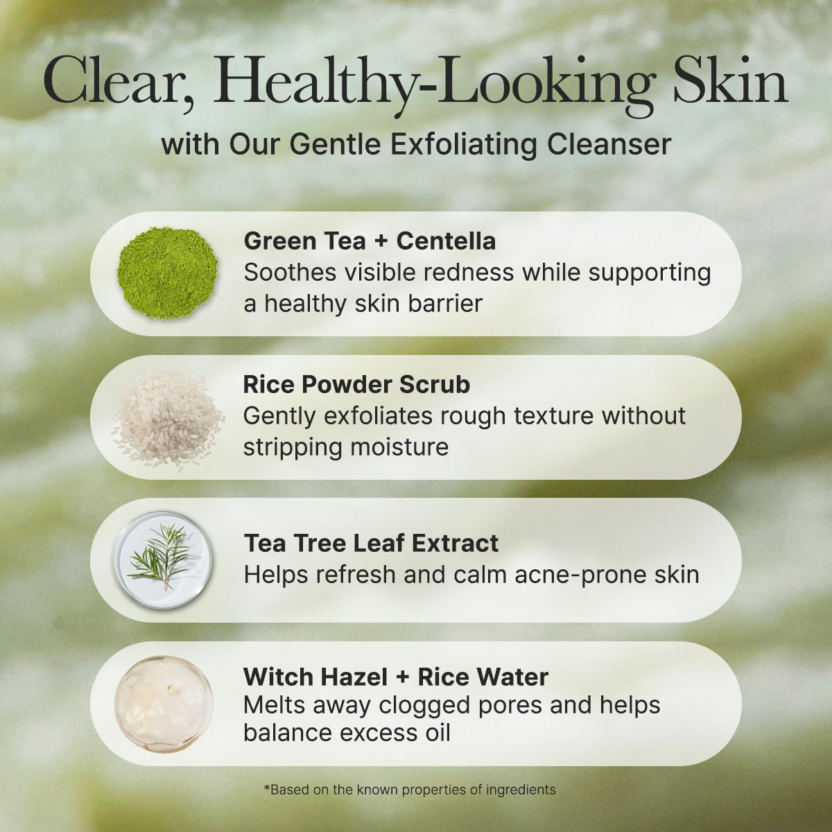 Korean Rice Mochi Gentle Facial Cleanser