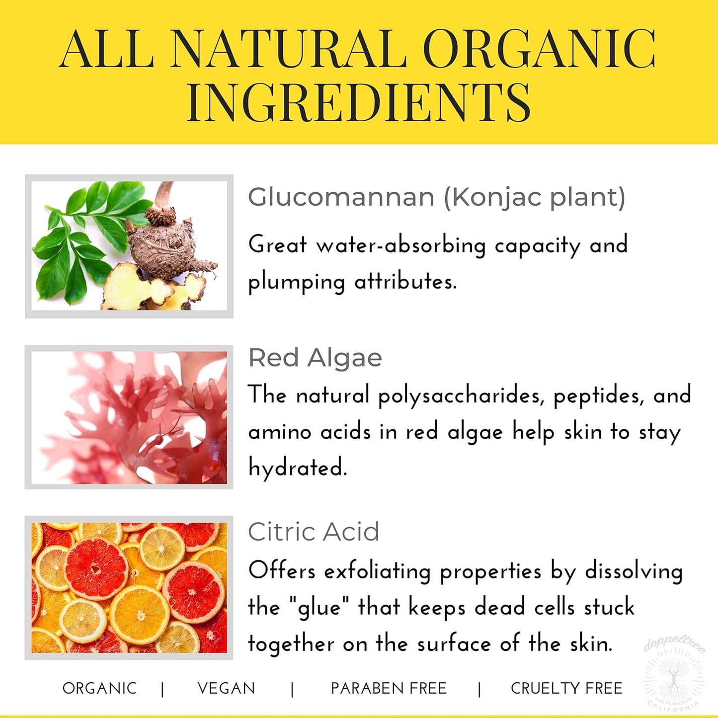 Doppeltree PLUMP IT Moisturizing Lip Mask (18 patches) - lip plumper, moisturizer for dry lips, chapped lip care and repair, conditioning lip exfoliator treatment - Formulated in San Francisco