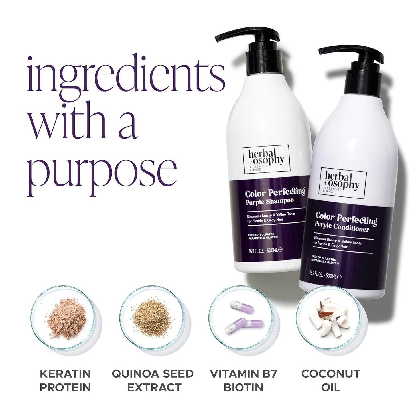 Purple Shampoo & Conditioner Set for Blonde Gray Hair, Eliminates Brassy and Yellow Tones, Infused with Cocos Nucifera Oil, Free of Sulfate, Parabens and Gluten, 2 x 16.9 Fl Oz